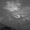 モノクロ散歩2016：夏の朝空b
