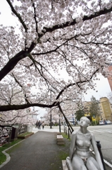 桜めぐり2015：彫刻もお花見