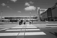 モノクロ散歩2015：駅前横断歩道