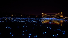 環水公園アマノガワ2014f