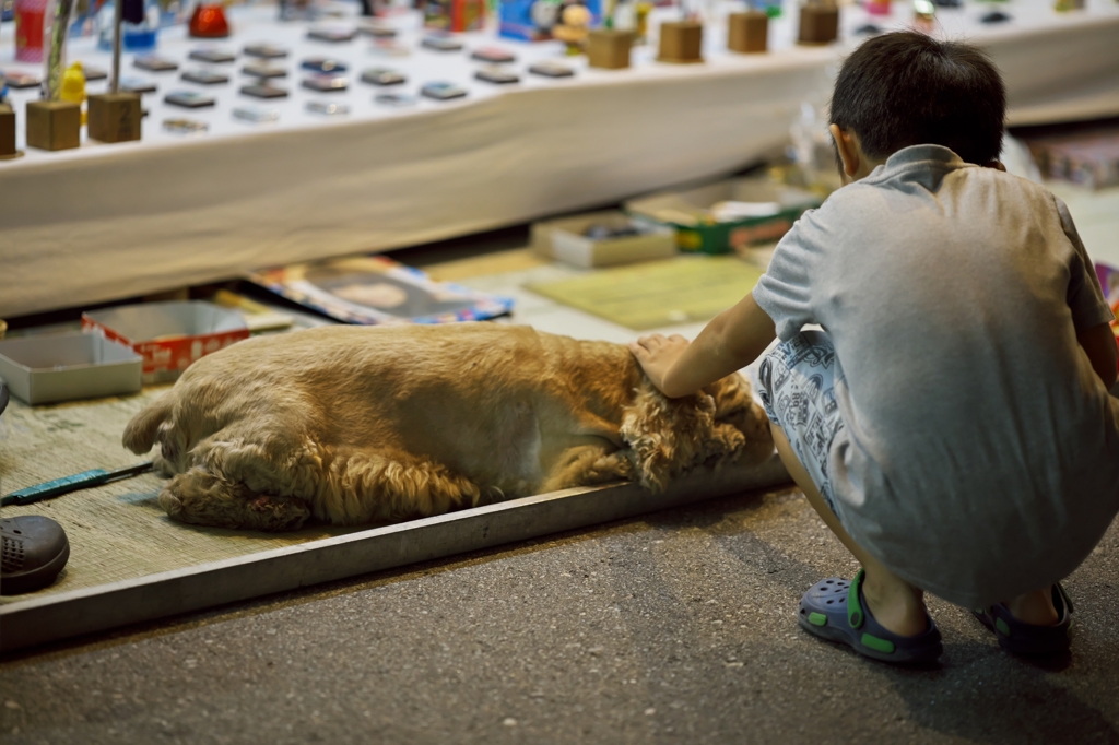 つくりもん2015：露店の看板犬b