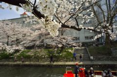 路傍の花たち2016：松川の賑わい