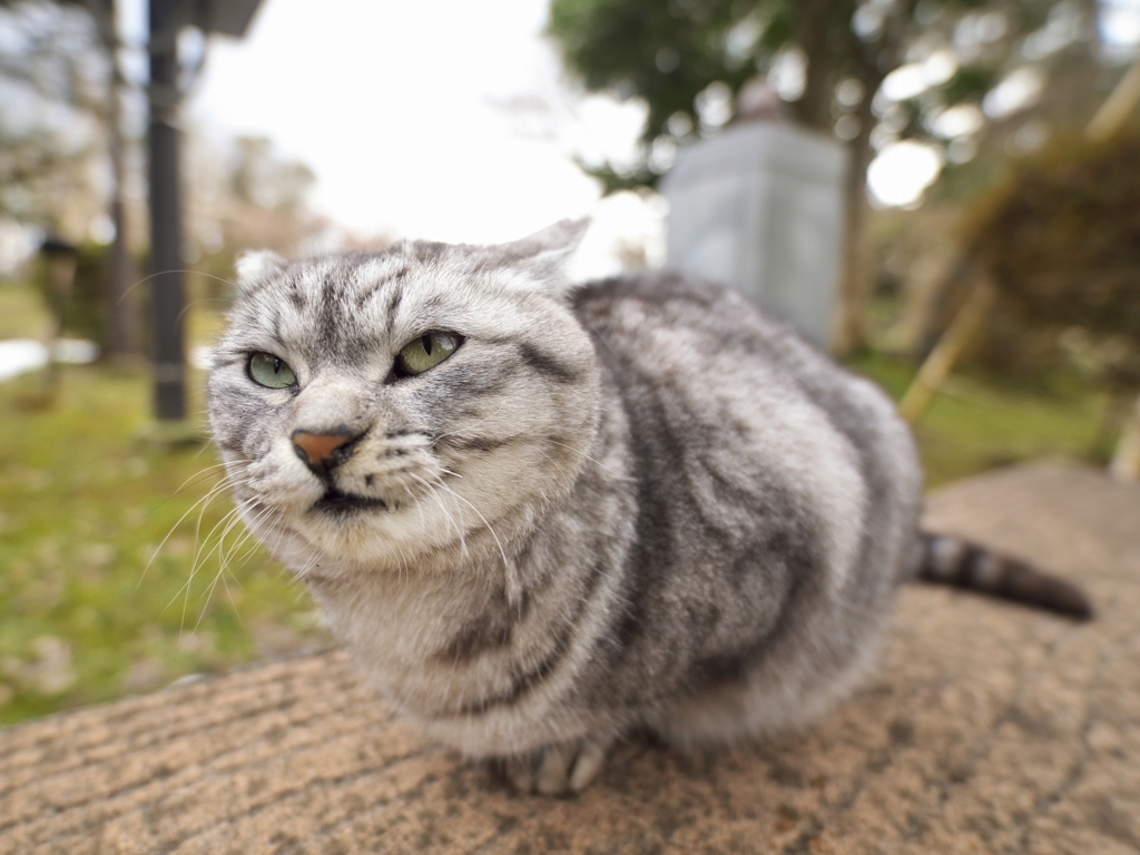 公園のうにゃ～2016：ちょっと緊張