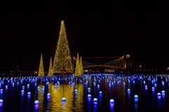 環水公園アマノガワ2013b