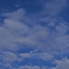 路傍の花たち2015：気がつけば秋空b