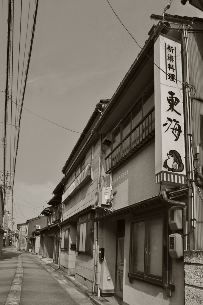 内川散歩2015：かぐら通うら