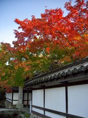 京都散策2016：南禅寺の紅葉