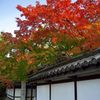 京都散策2016：南禅寺の紅葉