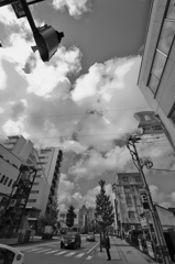 モノクロ散歩2015：ひまわり通にて