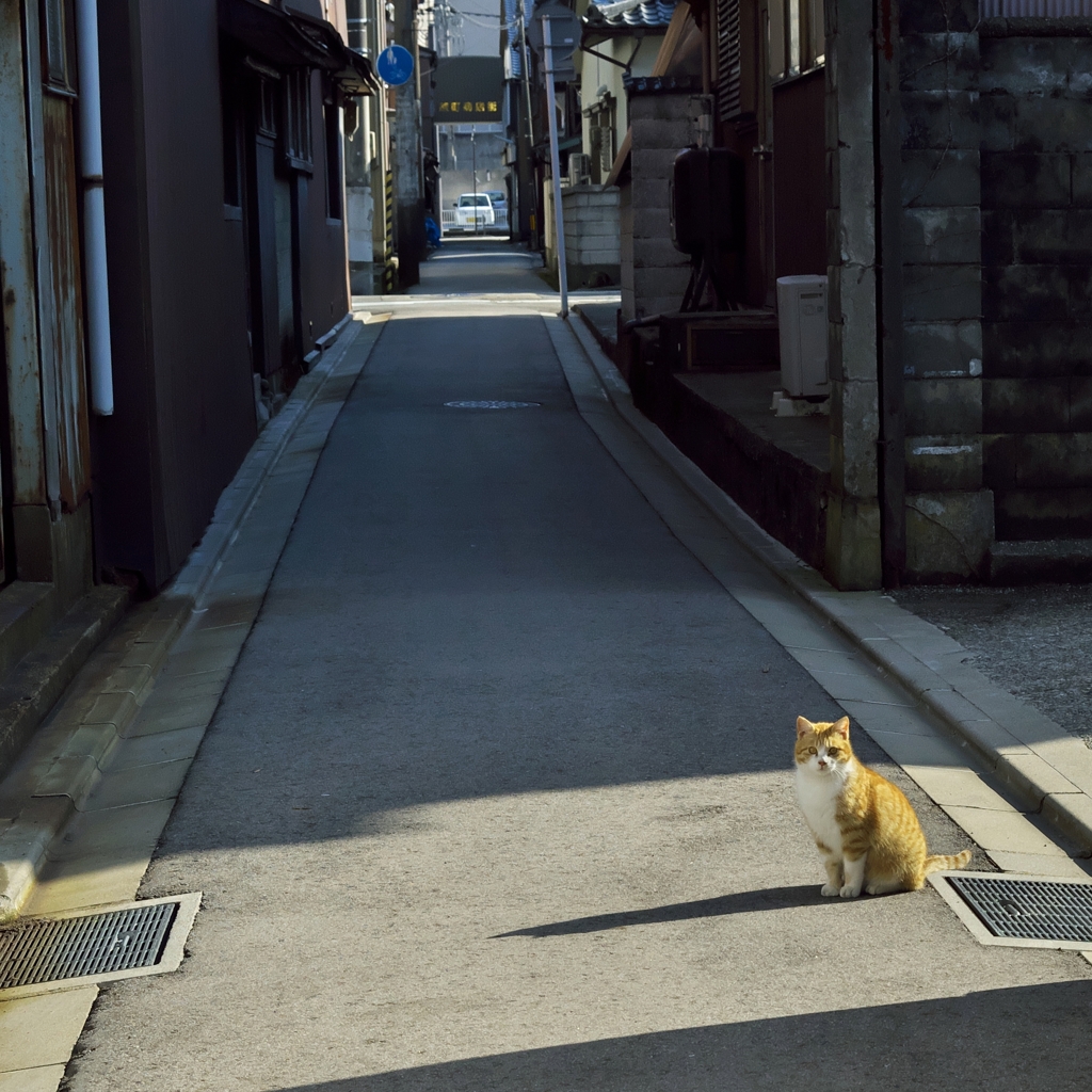 山町筋路地裏