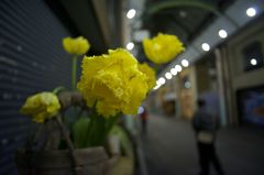 昔玉散歩2016：アーケードの黄色
