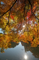 唐紅の綾錦2014h：二つの光芒