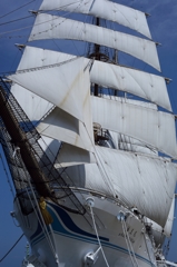 夏の総帆展班2015：二代目海王丸b