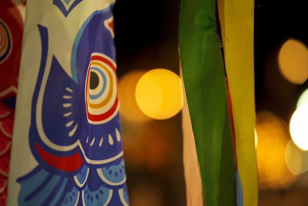 城端曳山祭り2017：宵闇鯉のぼり