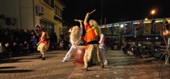 浜獅子太鼓2010a