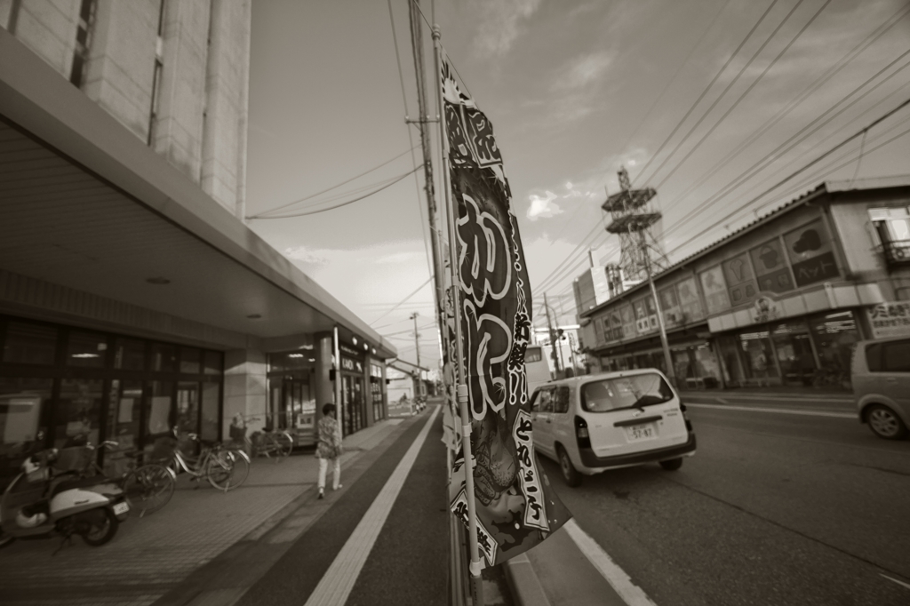 内川散歩2015：カモン