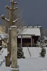 寒波襲来の朝2016：神明社の雪