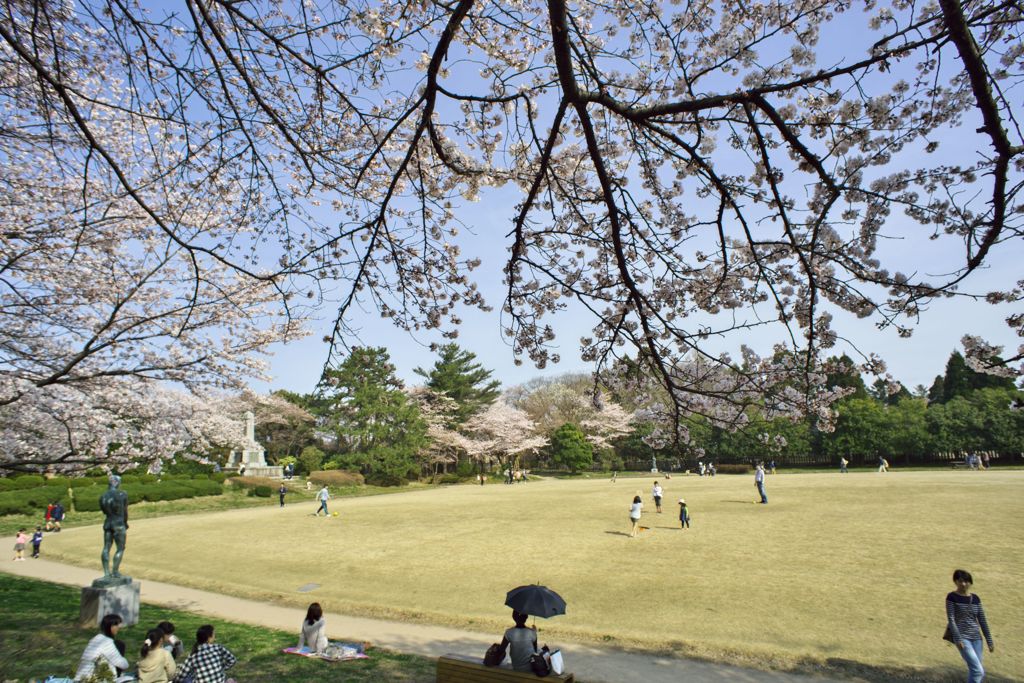 路傍の花たち2016：昼下がりの本丸広場