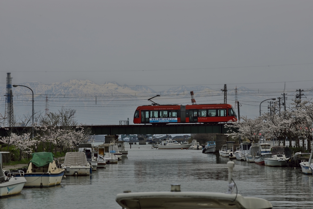 桜めぐり2015：立山・桜・アイトラムa