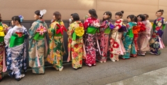 帯の花たち