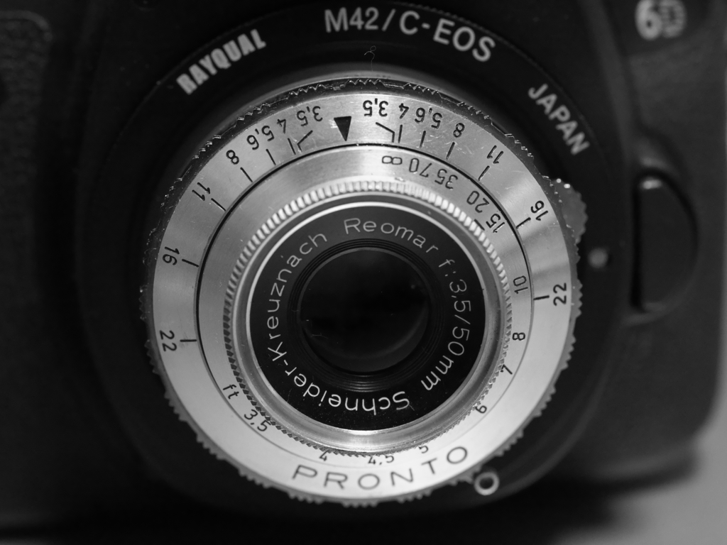 昔玉散歩2016：レオマール！a