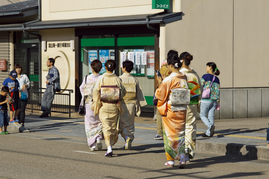 城端曳山祭2015：着物の後姿