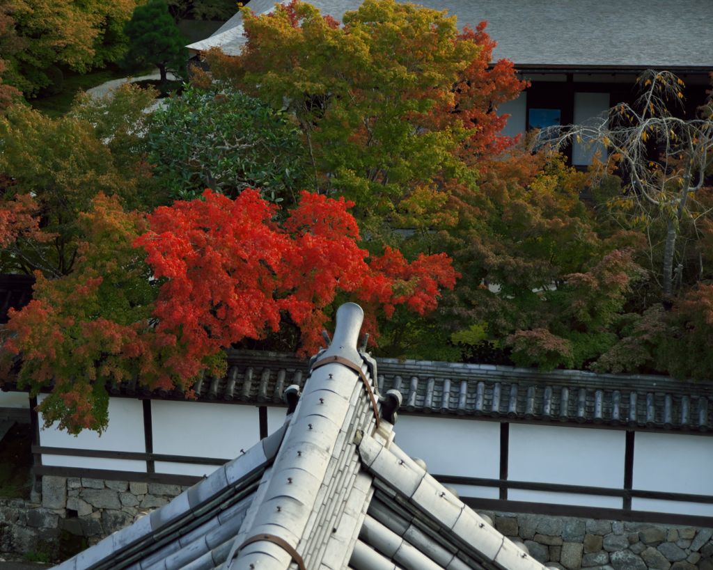 京都散策2016：南禅寺の紅葉_三門から