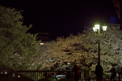 桜めぐり2015：華明橋のガス燈