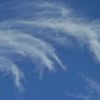 昔玉散歩2016：空に浮かぶ芒