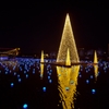 環水公園アマノガワ2014b