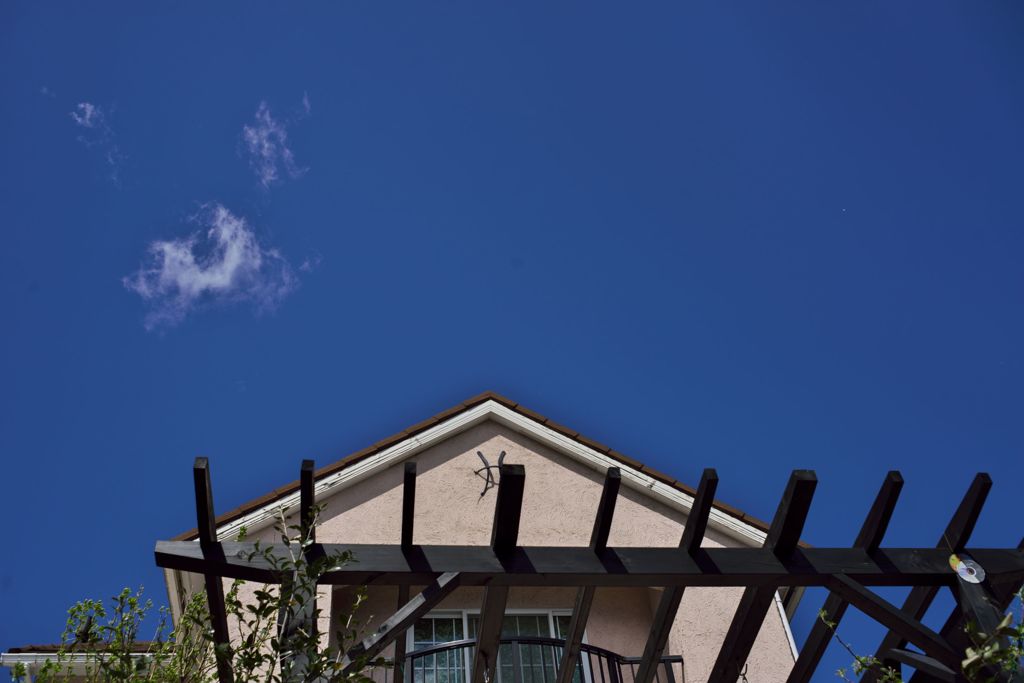 昔玉散歩2016：嵐の後で