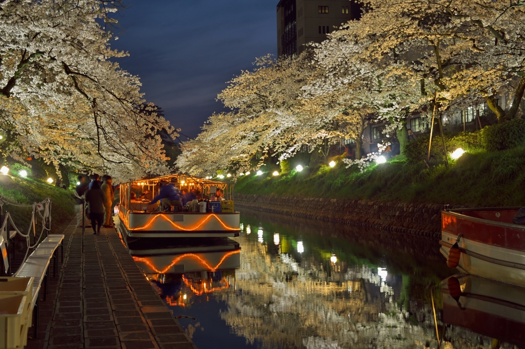 桜めぐり2015：夜桜花見舟b