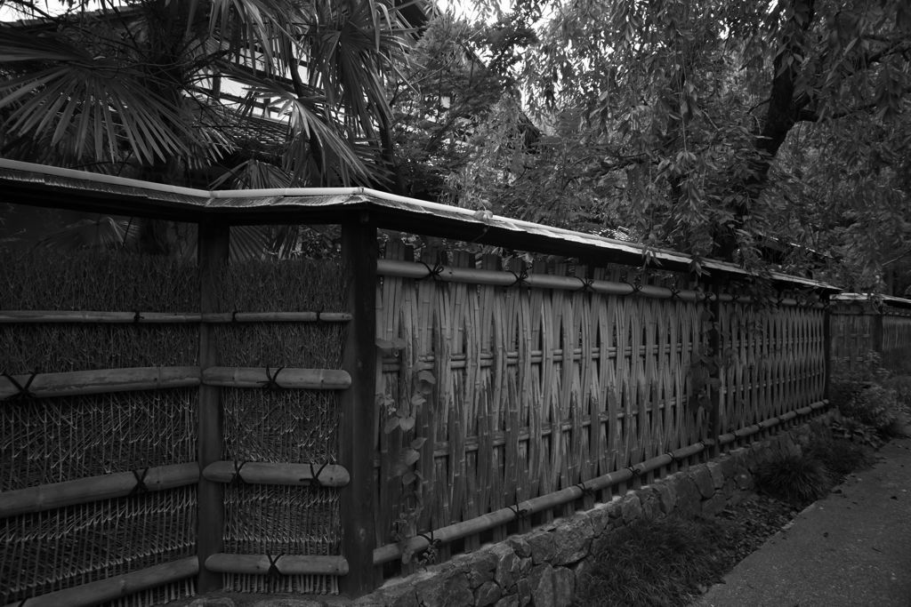 モノクロ散歩2016：柴垣_竹垣_アズマダチ