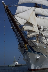夏の総帆展班2015：二代目海王丸 with tugboat
