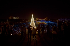 環水公園アマノガワ2014h