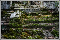 雑草があちこちに