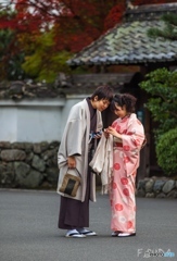 ほのぼの
