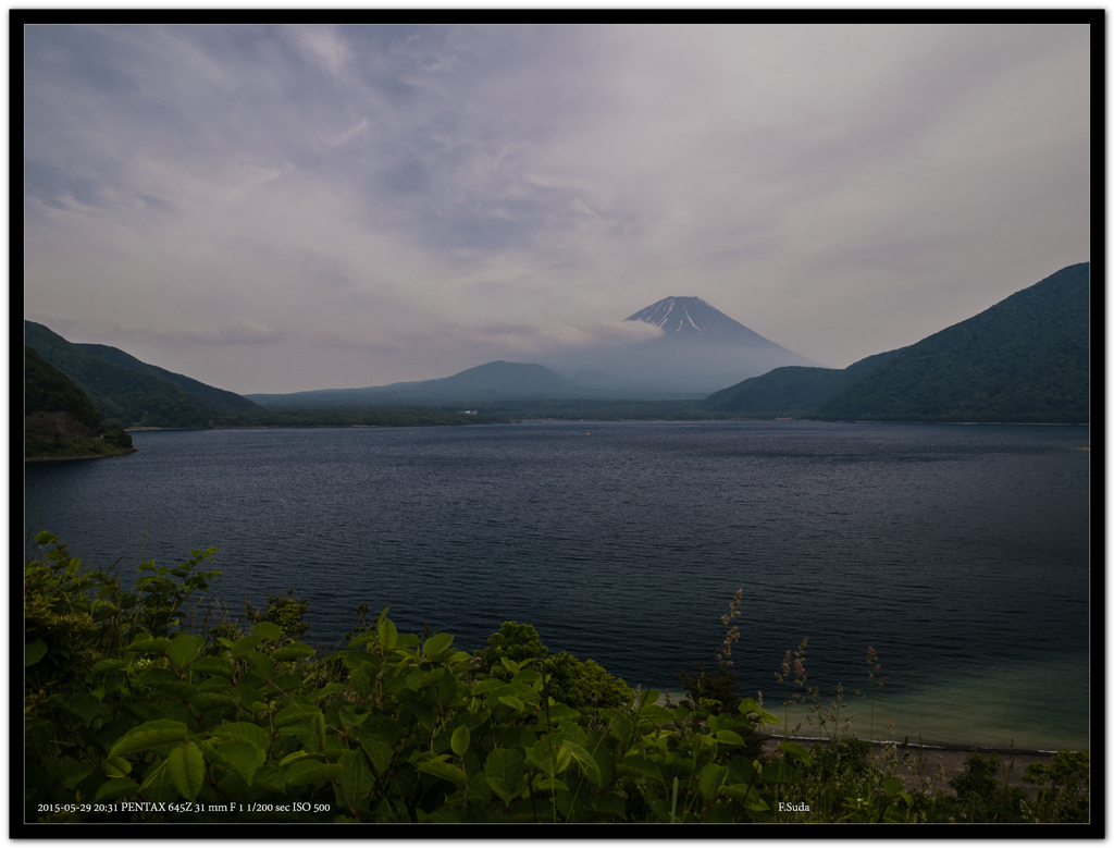 本巣湖の朝