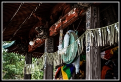 今年も宜しくお願いいたします。