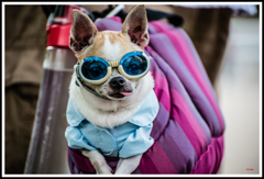 ワタシ可愛いですか？