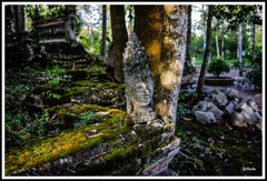 どんなことが起こったでしょうか。