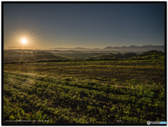 おはよう富良野