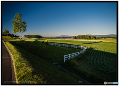 おはよう富良野２