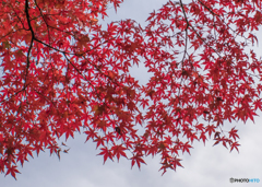 秋空