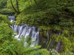 白糸の滝