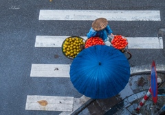 雨