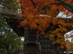紅葉１