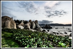 ホンコー海岸
