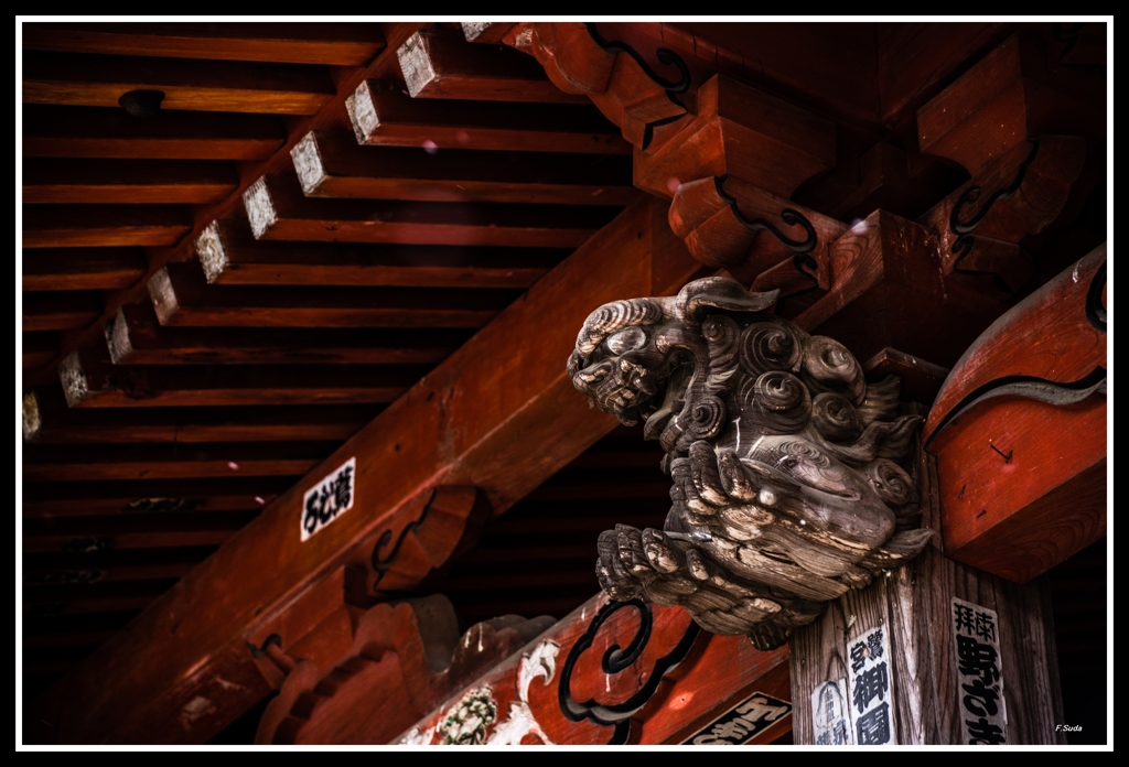 寺の色