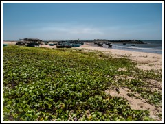 ファンティエットにある小さな魚村